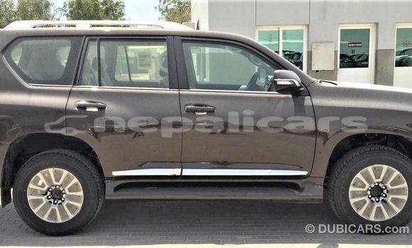 Buy Import Toyota Prado Brown Car in Import - Dubai in Bagmati Buy Import Toyota Prado Brown Car in Import - Dubai in Bagmati
