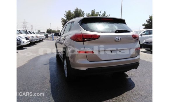 Buy Import Kia Sportage Black Car in Import - Dubai in Bagmati Buy Import Kia Sportage Black Car in Import - Dubai in Bagmati