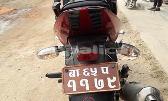 Buy Used Bajaj PULSAR Other Bike in Kathmandu in Bagmati Buy Used Bajaj PULSAR Other Bike in Kathmandu in Bagmati