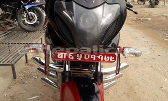 Buy Used Bajaj PULSAR Other Bike in Kathmandu in Bagmati Buy Used Bajaj PULSAR Other Bike in Kathmandu in Bagmati