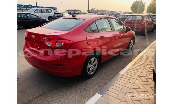 Buy Import Chevrolet Cruze Red Car in Import - Dubai in Bagmati Buy Import Chevrolet Cruze Red Car in Import - Dubai in Bagmati