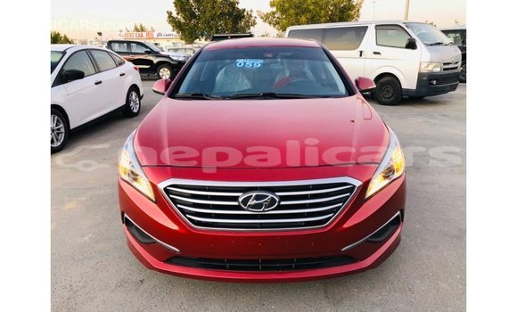 Buy Import Hyundai Sonata Red Car in Import - Dubai in Bagmati Buy Import Hyundai Sonata Red Car in Import - Dubai in Bagmati