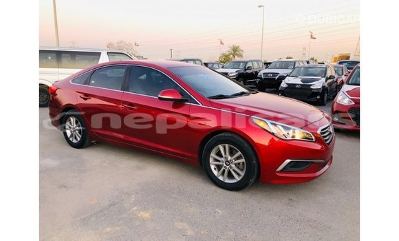 Buy Import Hyundai Sonata Red Car in Import - Dubai in Bagmati Buy Import Hyundai Sonata Red Car in Import - Dubai in Bagmati
