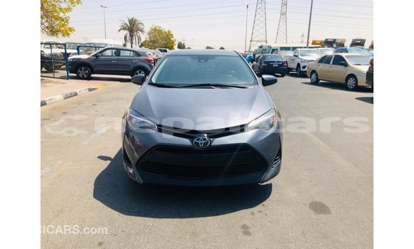 Buy Import Toyota Corolla Other Car in Import - Dubai in Bagmati Buy Import Toyota Corolla Other Car in Import - Dubai in Bagmati