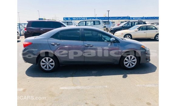 Buy Import Toyota Corolla Other Car in Import - Dubai in Bagmati Buy Import Toyota Corolla Other Car in Import - Dubai in Bagmati