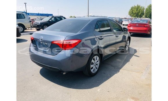 Buy Import Toyota Corolla Other Car in Import - Dubai in Bagmati Buy Import Toyota Corolla Other Car in Import - Dubai in Bagmati