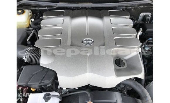Buy Import Toyota Land Cruiser Red Car in Import - Dubai in Bagmati Buy Import Toyota Land Cruiser Red Car in Import - Dubai in Bagmati