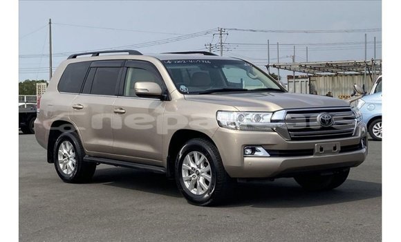 Buy Import Toyota Land Cruiser Other Car in Import - Dubai in Bagmati