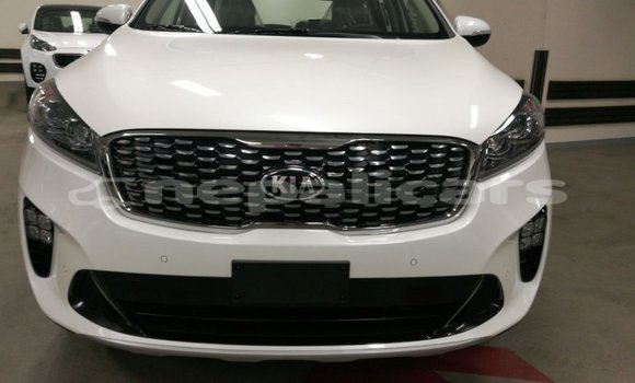 Buy Import Kia Sorento White Car in Import - Dubai in Bagmati