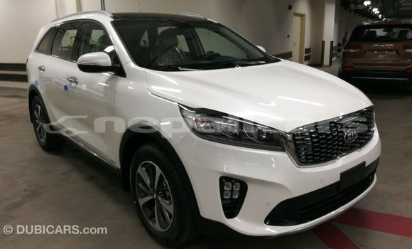 Buy Import Kia Sorento White Car in Import - Dubai in Bagmati Buy Import Kia Sorento White Car in Import - Dubai in Bagmati