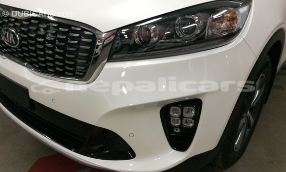 Buy Import Kia Sorento White Car in Import - Dubai in Bagmati Buy Import Kia Sorento White Car in Import - Dubai in Bagmati