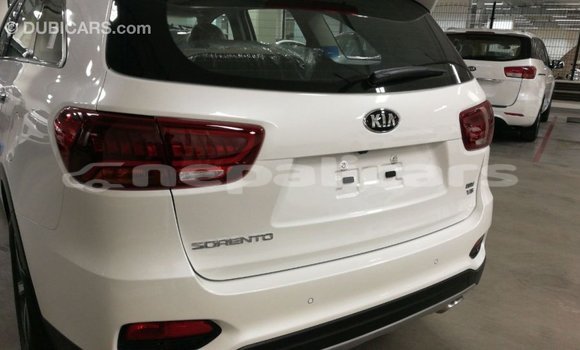 Buy Import Kia Sorento White Car in Import - Dubai in Bagmati Buy Import Kia Sorento White Car in Import - Dubai in Bagmati
