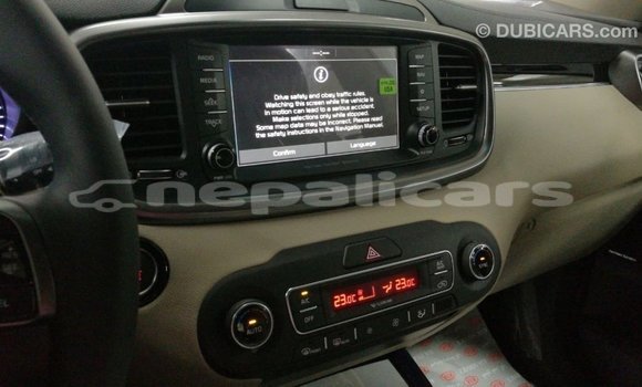 Buy Import Kia Sorento White Car in Import - Dubai in Bagmati Buy Import Kia Sorento White Car in Import - Dubai in Bagmati