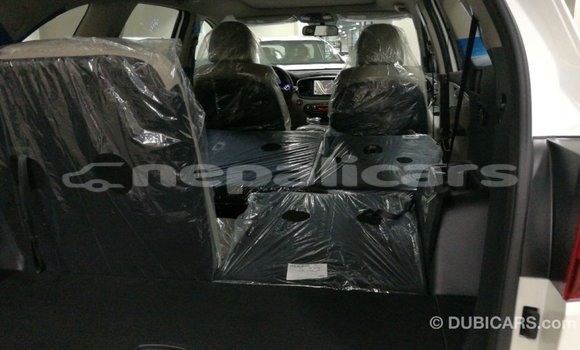 Buy Import Kia Sorento White Car in Import - Dubai in Bagmati Buy Import Kia Sorento White Car in Import - Dubai in Bagmati