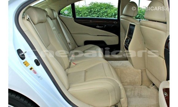 Buy Import Lexus LS White Car in Import - Dubai in Bagmati Buy Import Lexus LS White Car in Import - Dubai in Bagmati