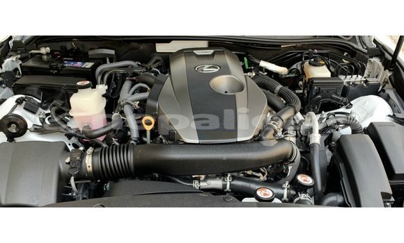 Buy Import Lexus IS White Car in Import - Dubai in Bagmati Buy Import Lexus IS White Car in Import - Dubai in Bagmati