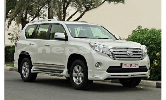 Buy Import Toyota Prado White Car in Import - Dubai in Bagmati