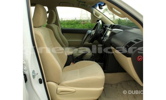 Buy Import Toyota Prado White Car in Import - Dubai in Bagmati Buy Import Toyota Prado White Car in Import - Dubai in Bagmati