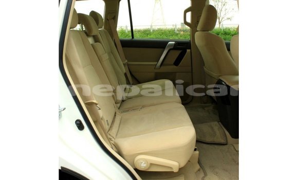 Buy Import Toyota Prado White Car in Import - Dubai in Bagmati Buy Import Toyota Prado White Car in Import - Dubai in Bagmati