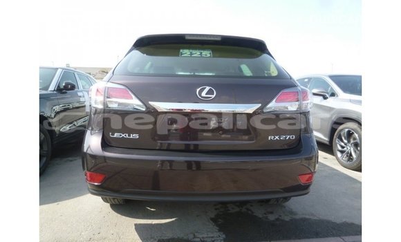 Buy Import Lexus RX Brown Car in Import - Dubai in Bagmati Buy Import Lexus RX Brown Car in Import - Dubai in Bagmati