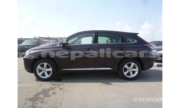 Buy Import Lexus RX Brown Car in Import - Dubai in Bagmati Buy Import Lexus RX Brown Car in Import - Dubai in Bagmati