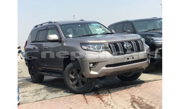 Buy Import Toyota Prado Brown Car in Import - Dubai in Bagmati