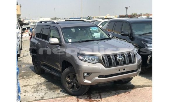 Buy Import Toyota Prado Brown Car in Import - Dubai in Bagmati Buy Import Toyota Prado Brown Car in Import - Dubai in Bagmati