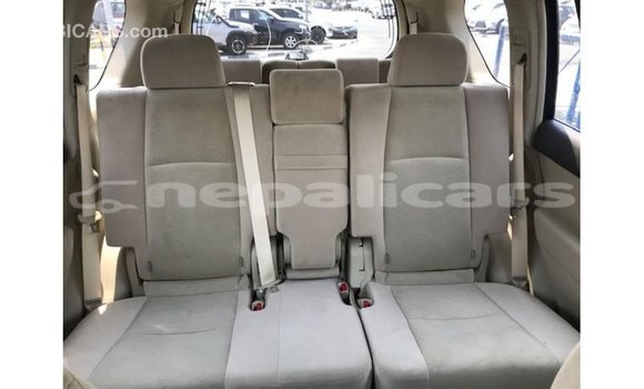 Buy Import Toyota Prado Brown Car in Import - Dubai in Bagmati Buy Import Toyota Prado Brown Car in Import - Dubai in Bagmati