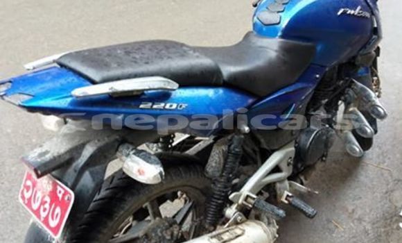 Buy Used Bajaj PULSAR Blue Bike in Kathmandu in Bagmati Buy Used Bajaj PULSAR Blue Bike in Kathmandu in Bagmati