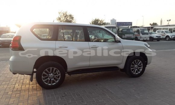 Buy Import Toyota Prado White Car in Import - Dubai in Bagmati Buy Import Toyota Prado White Car in Import - Dubai in Bagmati