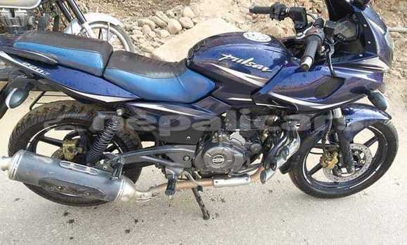Buy Used Bajaj PULSAR Blue Bike in Kathmandu in Bagmati Buy Used Bajaj PULSAR Blue Bike in Kathmandu in Bagmati
