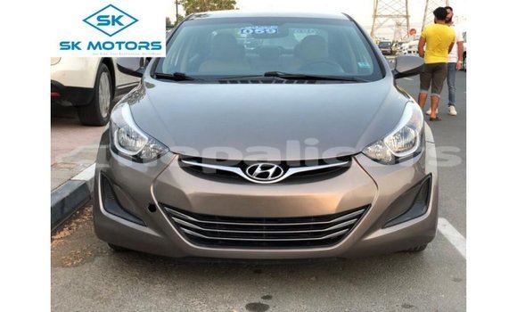 Buy Import Hyundai Elantra Brown Car in Import - Dubai in Bagmati