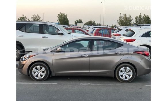 Buy Import Hyundai Elantra Brown Car in Import - Dubai in Bagmati Buy Import Hyundai Elantra Brown Car in Import - Dubai in Bagmati