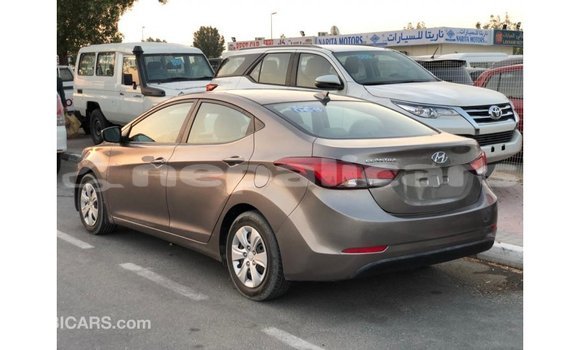 Buy Import Hyundai Elantra Brown Car in Import - Dubai in Bagmati Buy Import Hyundai Elantra Brown Car in Import - Dubai in Bagmati