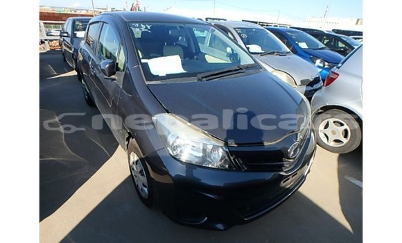 Buy Import Toyota Vitz Other Car in Import - Dubai in Bagmati