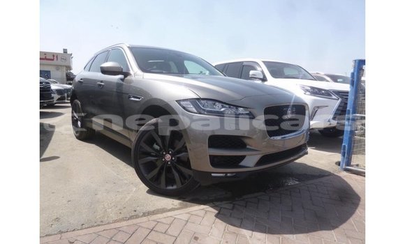 Buy Import Jaguar F-Pace Other Car in Import - Dubai in Bagmati Buy Import Jaguar F-Pace Other Car in Import - Dubai in Bagmati
