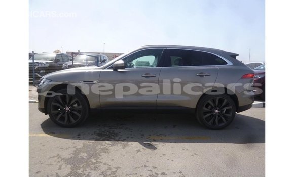 Buy Import Jaguar F-Pace Other Car in Import - Dubai in Bagmati Buy Import Jaguar F-Pace Other Car in Import - Dubai in Bagmati