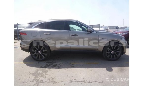 Buy Import Jaguar F-Pace Other Car in Import - Dubai in Bagmati Buy Import Jaguar F-Pace Other Car in Import - Dubai in Bagmati