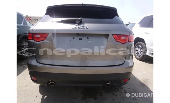 Buy Import Jaguar F-Pace Other Car in Import - Dubai in Bagmati Buy Import Jaguar F-Pace Other Car in Import - Dubai in Bagmati