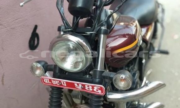 Buy Used Bajaj AVENGER Brown Bike in Kathmandu in Bagmati Buy Used Bajaj AVENGER Brown Bike in Kathmandu in Bagmati