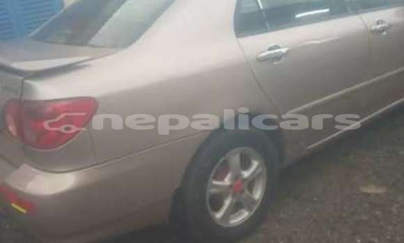 Buy Used Toyota Corolla Other Car in Kathmandu in Bagmati Buy Used Toyota Corolla Other Car in Kathmandu in Bagmati