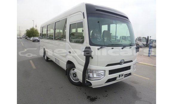 Buy Import Toyota Coaster White Car in Import - Dubai in Bagmati Buy Import Toyota Coaster White Car in Import - Dubai in Bagmati