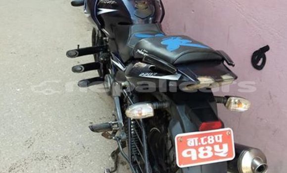 Buy Used Bajaj PULSAR Black Bike in Kathmandu in Bagmati Buy Used Bajaj PULSAR Black Bike in Kathmandu in Bagmati