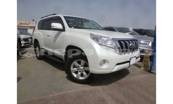 Buy Import Toyota Prado White Car in Import - Dubai in Bagmati Buy Import Toyota Prado White Car in Import - Dubai in Bagmati