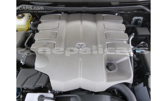 Buy Import Toyota Land Cruiser Black Car in Import - Dubai in Bagmati Buy Import Toyota Land Cruiser Black Car in Import - Dubai in Bagmati