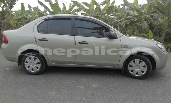 Buy Used Ford Fiesta Silver Car in Bharatpur in Narayani
