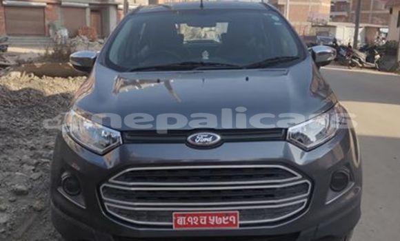 Buy Used Ford Escort Red Car in Bhadrapur in Mechi