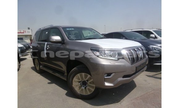 Buy Import Toyota Prado Brown Car in Import - Dubai in Bagmati Buy Import Toyota Prado Brown Car in Import - Dubai in Bagmati