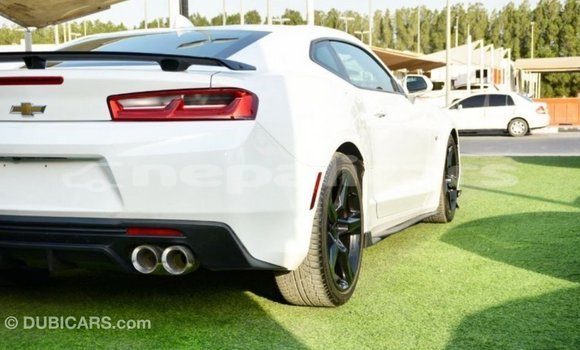 Buy Import Chevrolet Camaro White Car in Import - Dubai in Bagmati Buy Import Chevrolet Camaro White Car in Import - Dubai in Bagmati