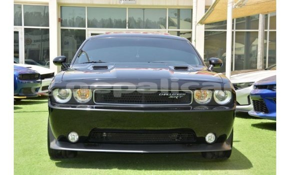 Buy Import Dodge Challenger Black Car in Import - Dubai in Bagmati